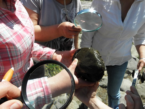 DOCENTES DE LA REGIÓN PARTICIPARÁN EN PROGRAMA EDUCATIVO RUTA DEL CACHAPOAL