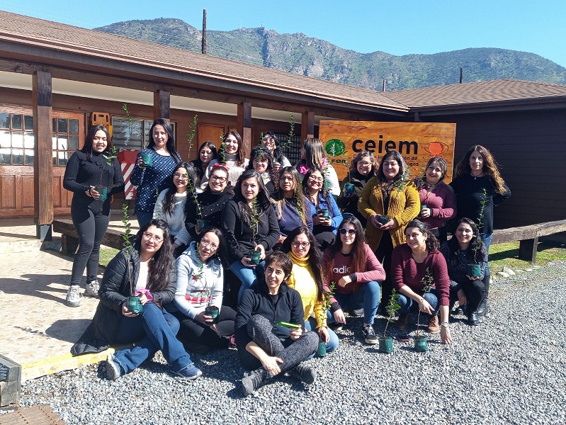 DOCENTES DE DINTRANS APRENDEN DE FLORA NATIVA EN TALLERES DE EL TENIENTE Y LA JUNTA DE VIGILANCIA DE