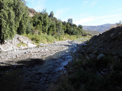 JUNTAS DE VIGILANCIA DE LOS RÍOS Y ESTEROS: MEDIDAS ESPECIALES FRENTE A LA PEOR SEQUÍA DE LOS ÚLTIMOS 50 AÑOS